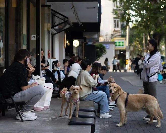 抛弃了双11爱上了“老年严选”AG凯发K8国际这届脆皮年轻人(图7)