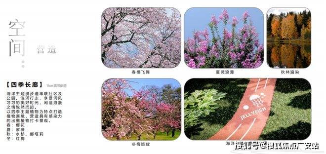 025楼盘评测_售楼处电话丨房价丨详情丨地址丨楼盘百科详情k8凯发入口国贸虹桥璟上(国贸虹桥璟上售楼处)首页网站-2(图25)